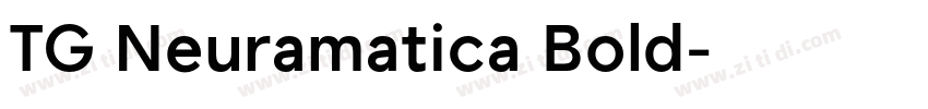 TG Neuramatica Bold字体转换